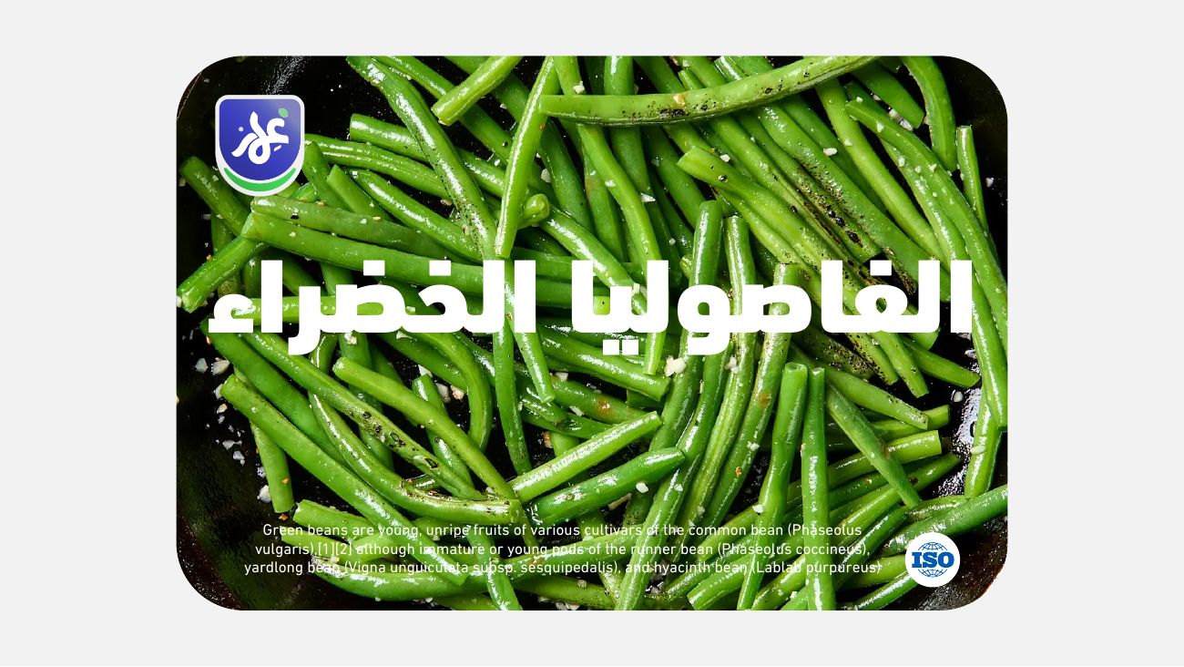 غمار — 8