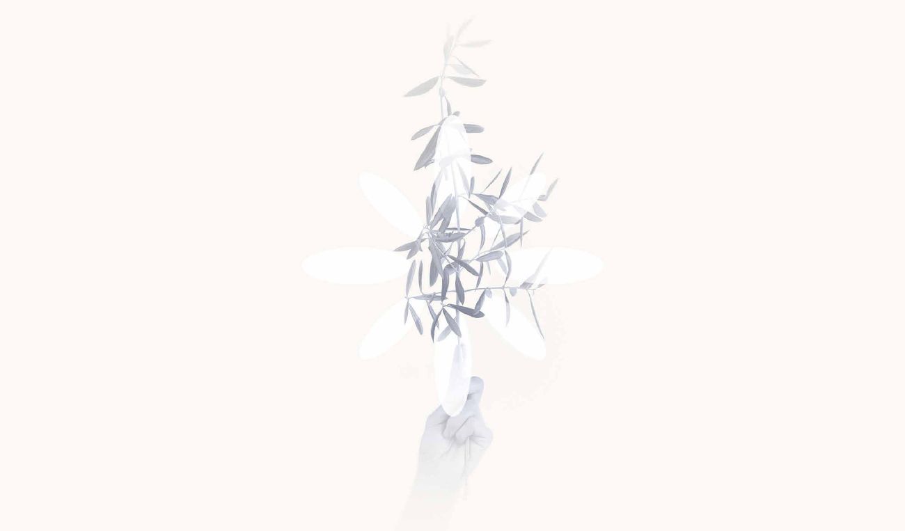أورشينا — 11