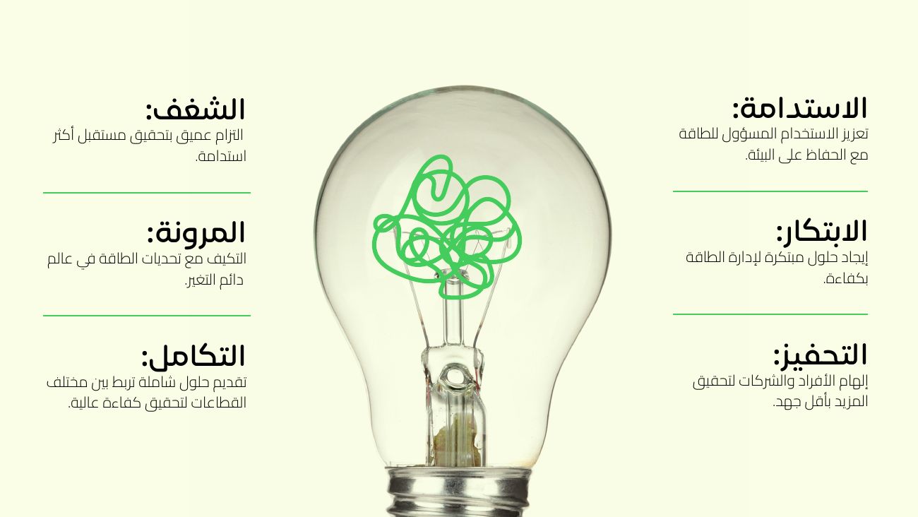 شنايدر إلكتريك — 2